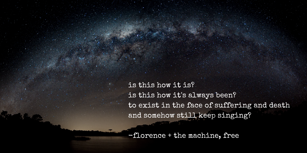 is this how it is? / is this how it's always been? / to exist in the face of suffering and death / and somehow still keep singing? - florence + the machine, free