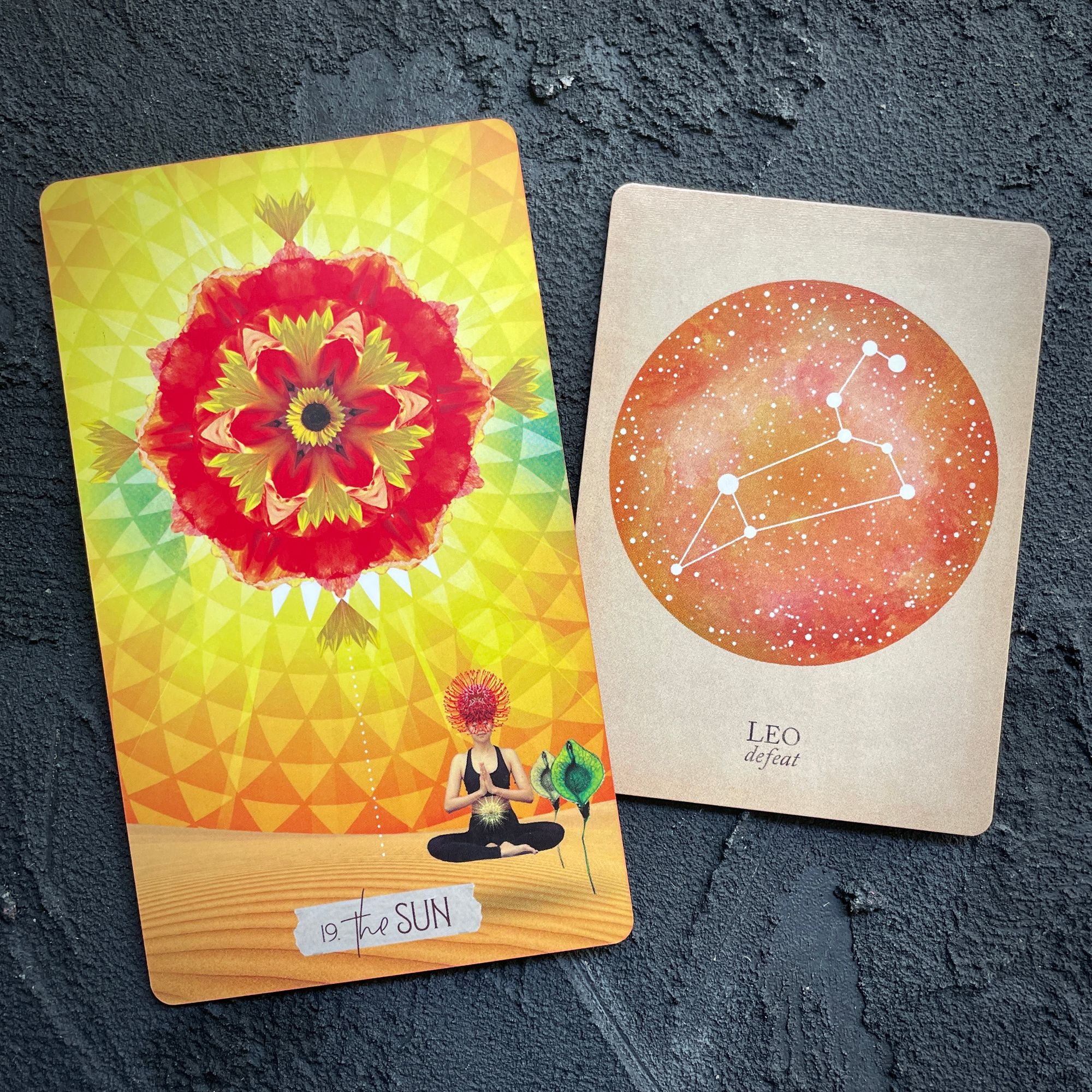 leo card from the compendium of constellations and the sun from the muse tarot