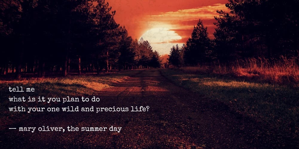 tell me, what is it you plan to do with your one wild and precious life? - mary oliver, the summer day