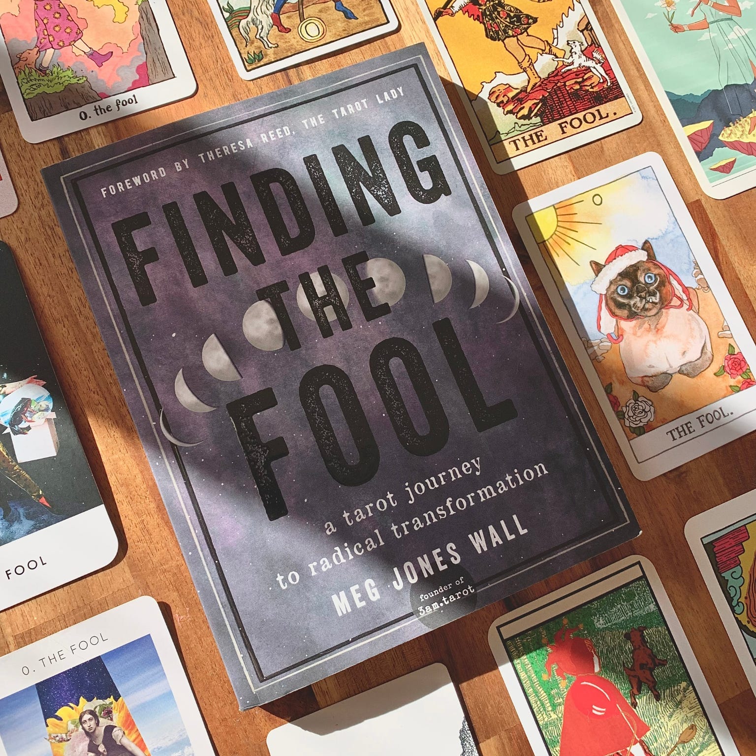 finding the fool book cover 