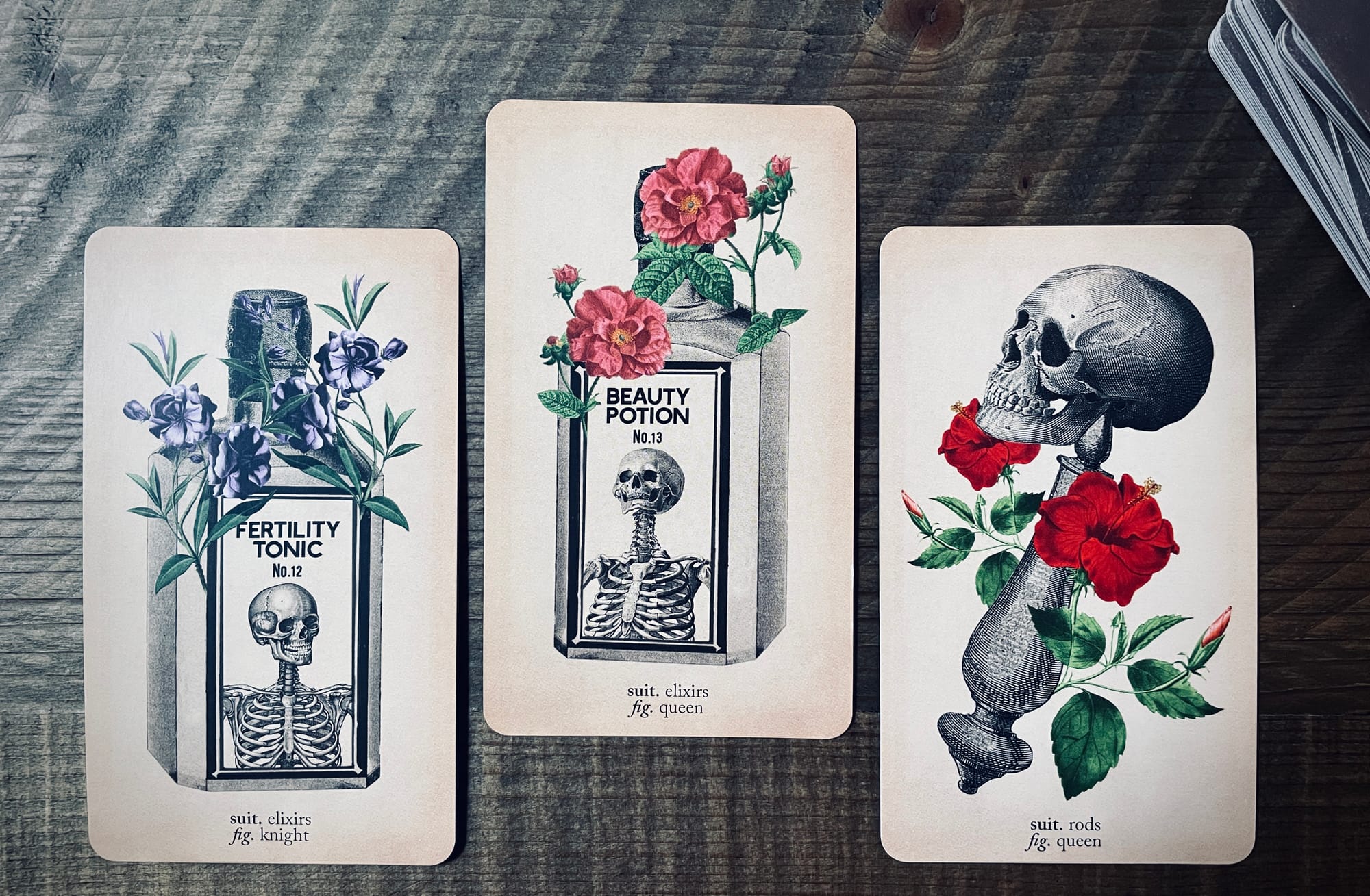 knight of elixirs, queen of elixirs, and queen of rods from the antique anatomy tarot