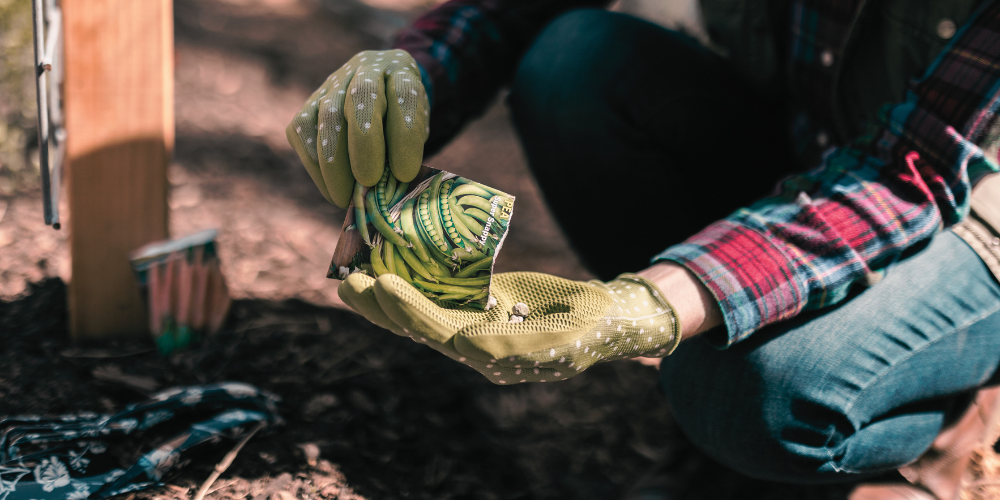 figure in jeans and gardening gloves crouches outside, pouring a seed packet into their hands