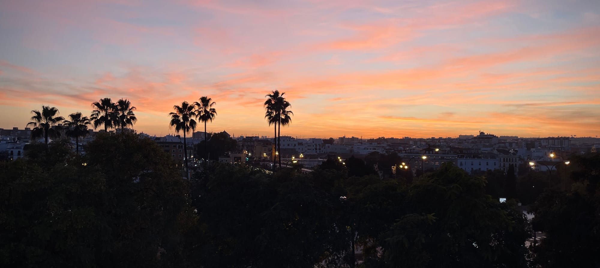 pink clouds in a blue sky, with white buildings clustered on the horizon line and palm trees in the foreground