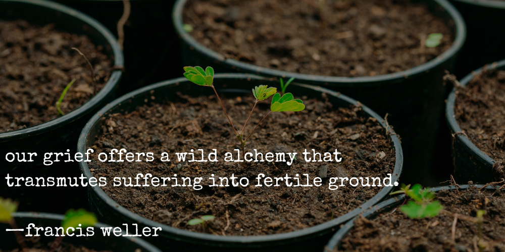 "our grief offers a wild alchemy that transmutes suffering into fertile ground." —francis weller