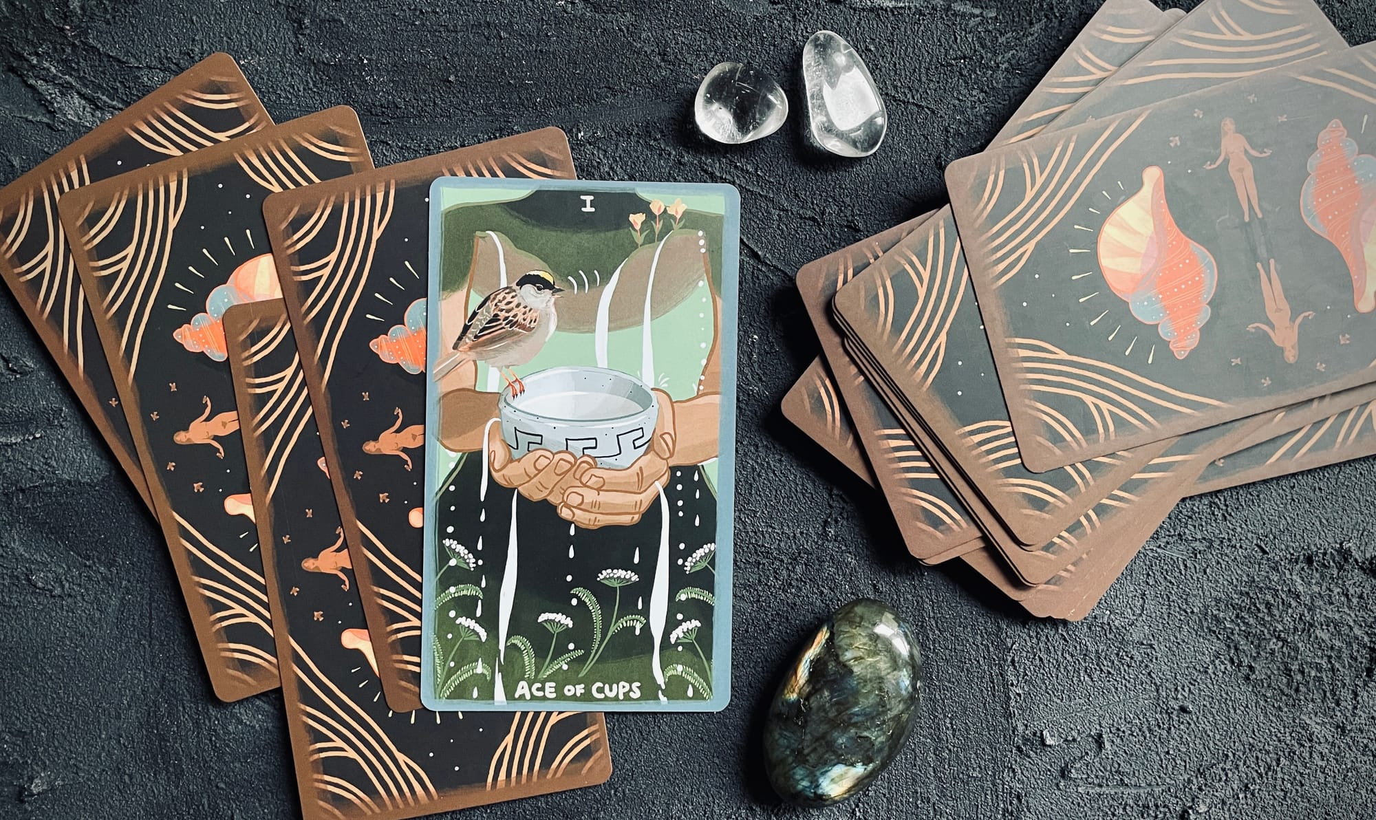 ace of cups from the gentle tarot