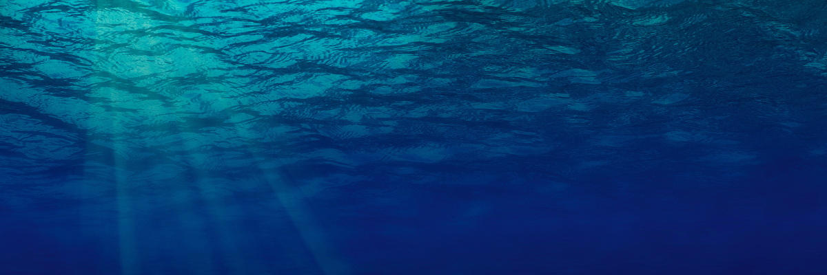 photograph of light streaming through the surface of water
