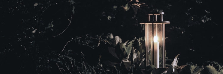 candle lantern sitting on the ground, surrounded by grass, plants, and dark sky