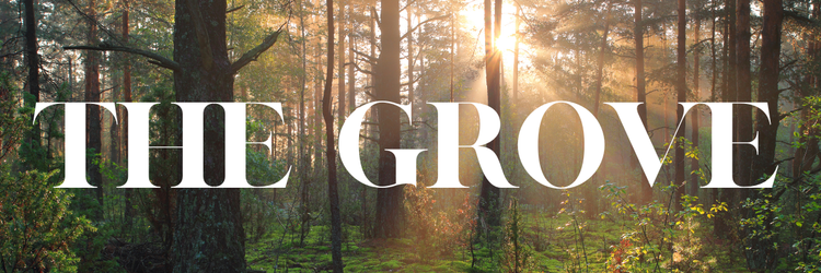the grove