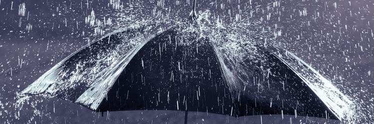 umbrella in the rain